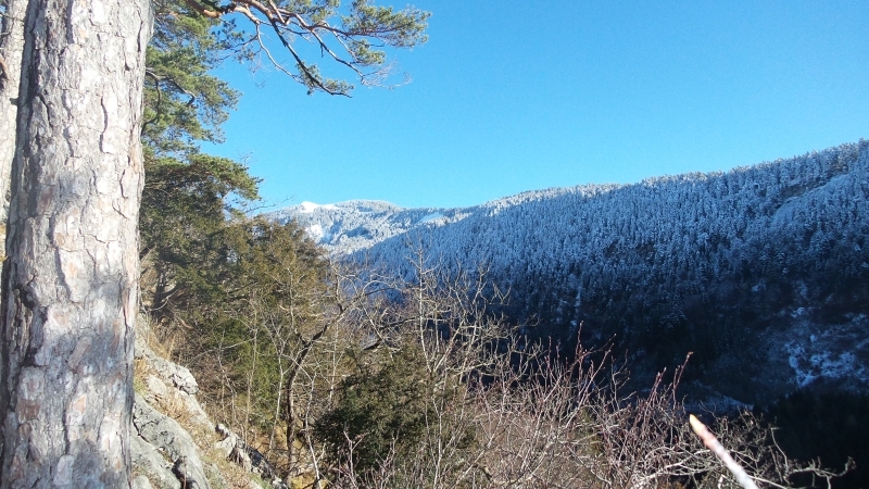 Ein letzter Blick zurück Richtung Hohe Kugel