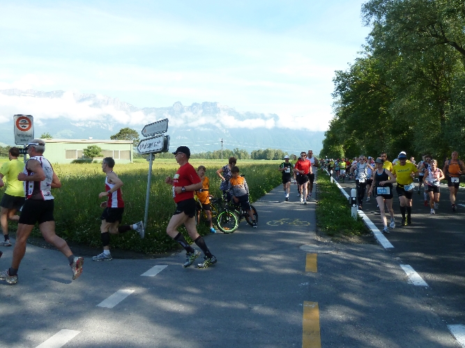Moritz mit gemischten Feld