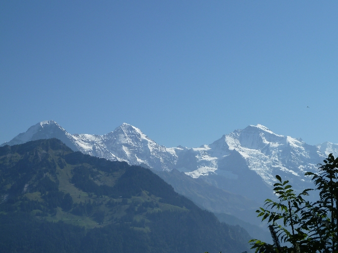 … Aussicht auf einen Teil der Marathon-Strecke und Eiger, Mönch und Jungfrau