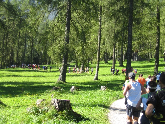 Sanfter Beginn durch herrliche Lärchenwälder