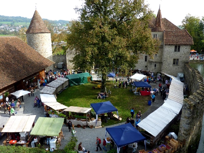 Marktstimmung am Hallwilerseelauf