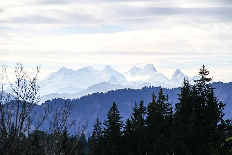 Herrliche Sicht auf die Alpen