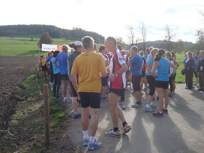 Das Starterfeld formiert sich