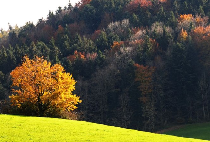 Auch für die schöne Landschaft muss noch Zeit bleiben