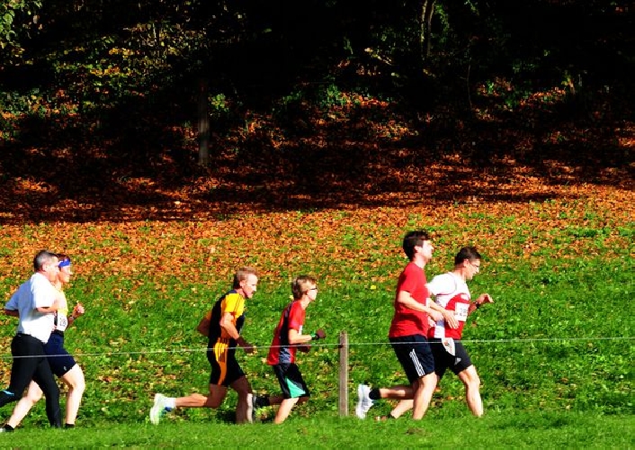 Heinz auf der Strecke
