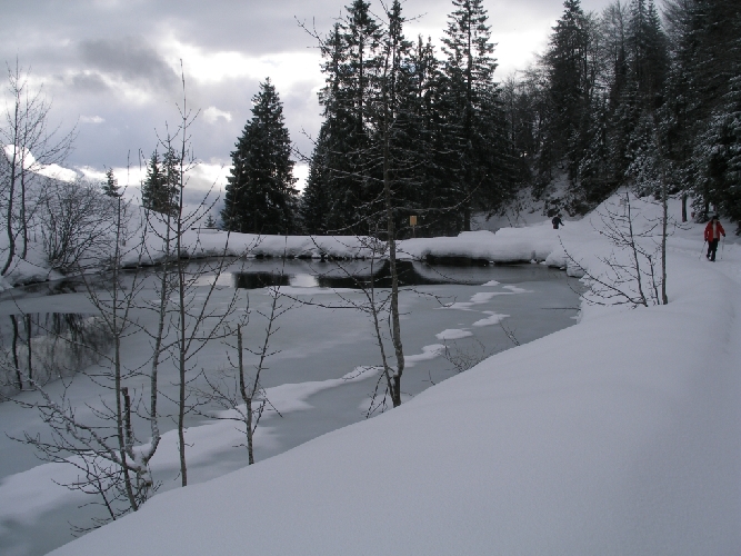 Herrliche Winterlandschaft