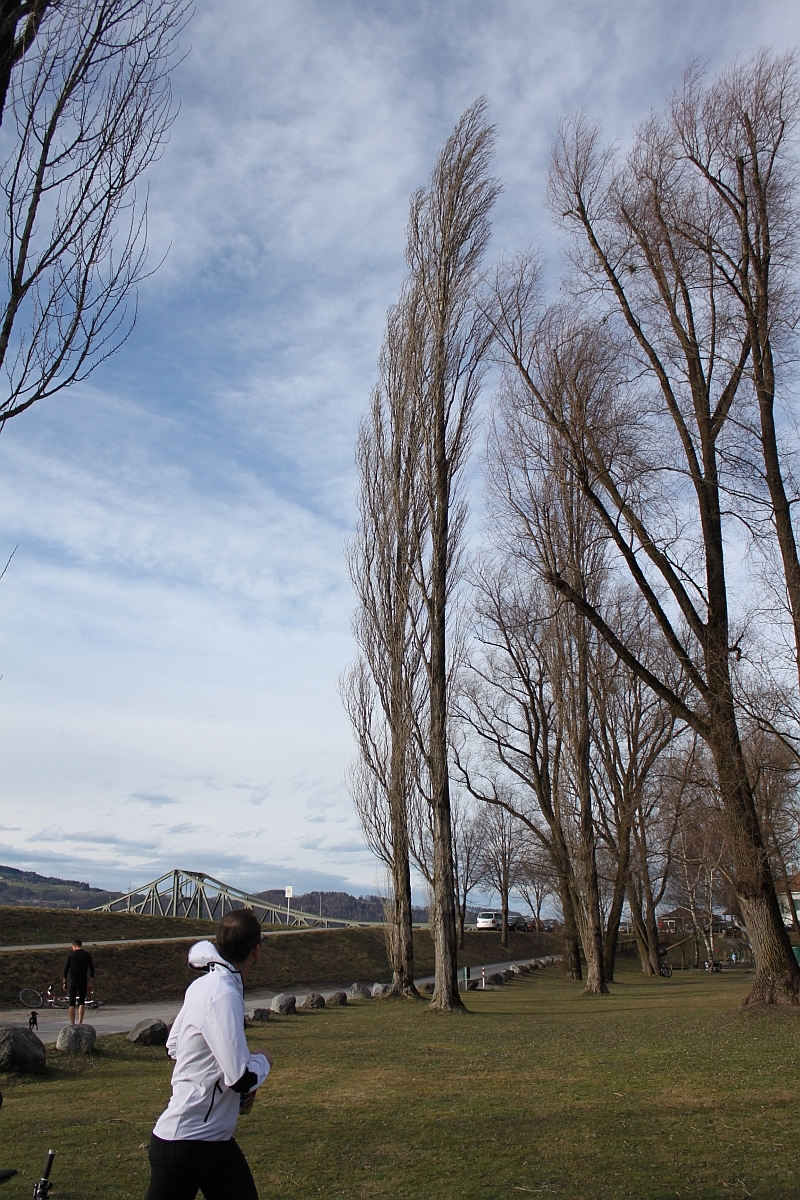 Ein starker Föhn führte zu frühlingshaften Temperaturen