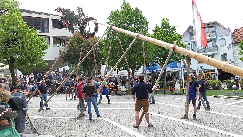 Auf dem Dorfplatz wird der Maibaum aufgestellt