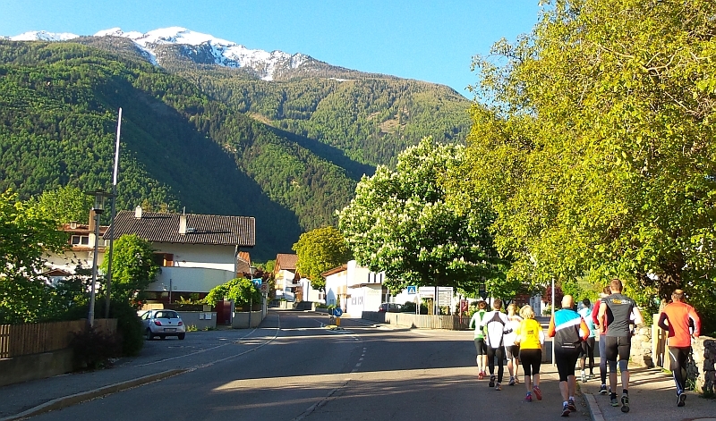 Sonntagmorgen: Die Milas laufen zum Latscher Trim dich Pfad
