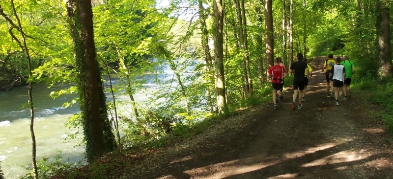 Herrliche Waldpassagen entlang der Sitter
