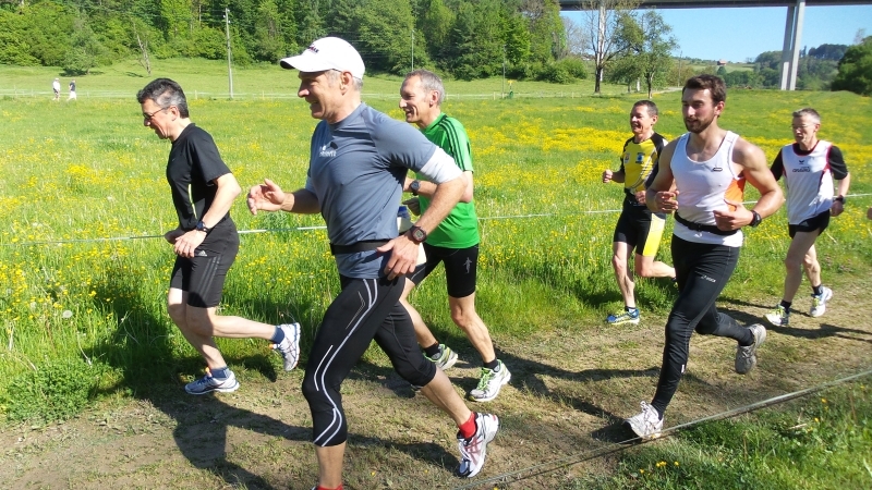 Tschösi kennt den Weg …..