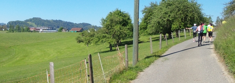 Das Ziel, die AFG-Arena im Sichtfeld
