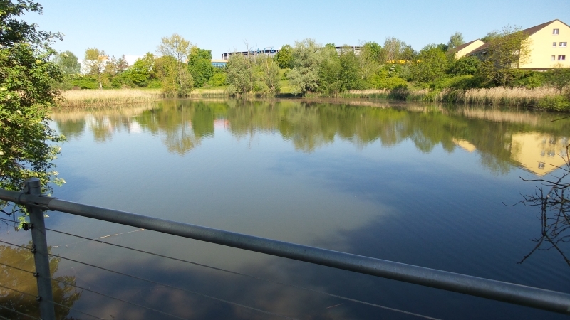 … dann vielleicht noch eine Besinnung am Weiher für den Schlussspurt….