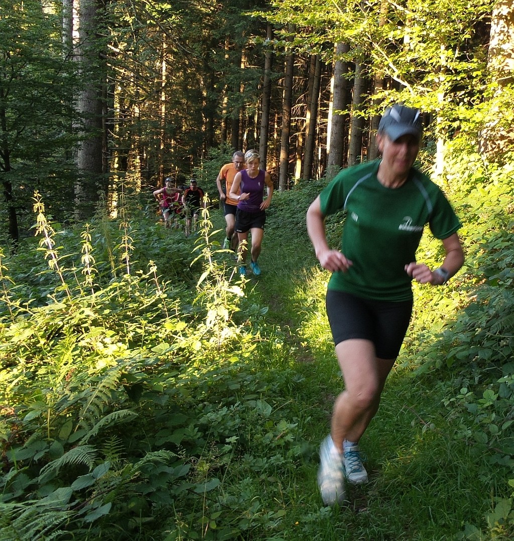 Trail durch den Wald