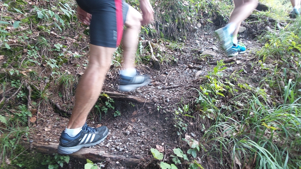 Weiters gings auf dem Wurzelweg steil hinauf