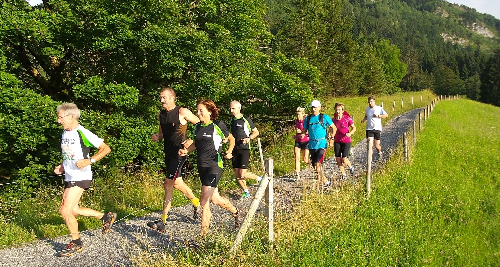 Die Gruppe in der Abendsonne