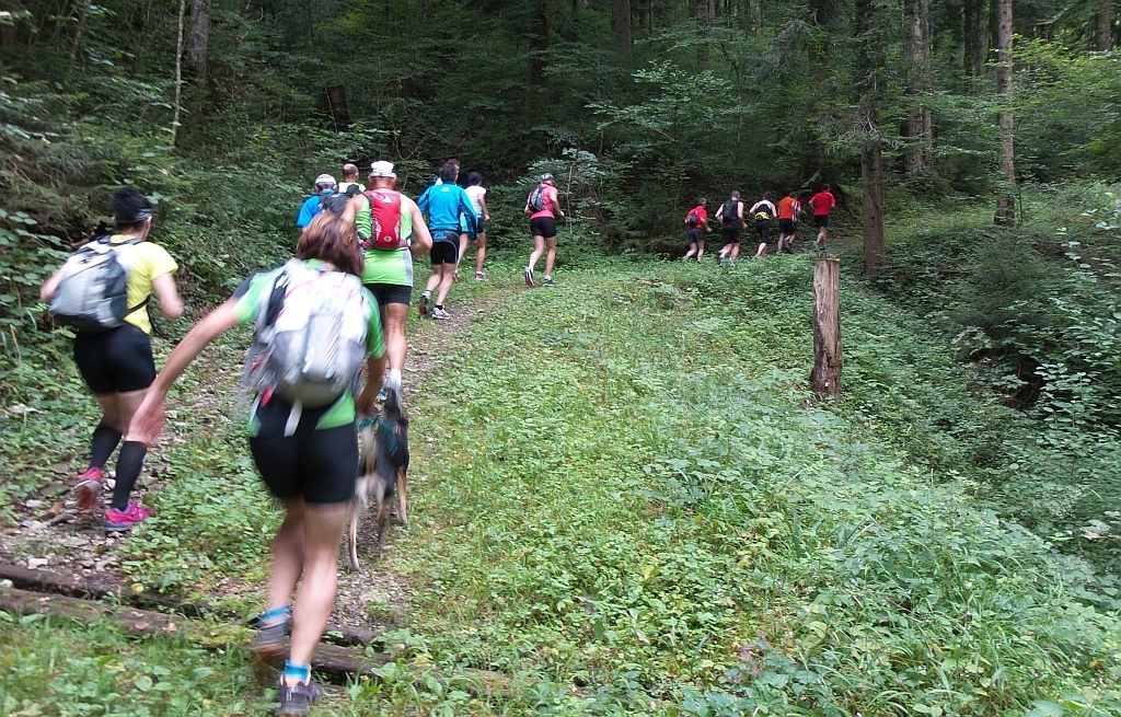 Recht ansteigend die Laufstrecke hinauf zu den verschiedenen Schwämmen