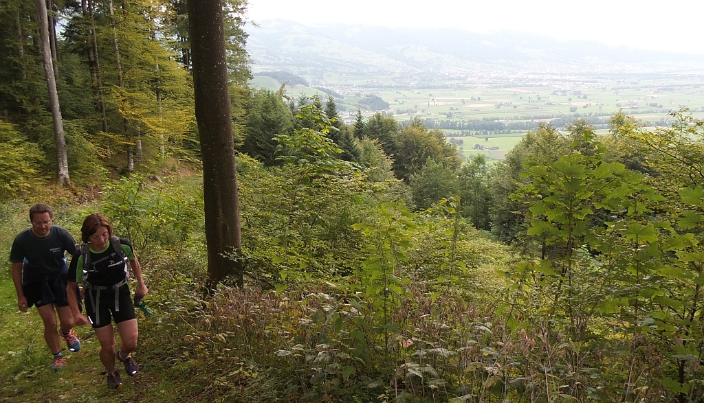 Schöner Trail durch den Wald mit Blick hinunter