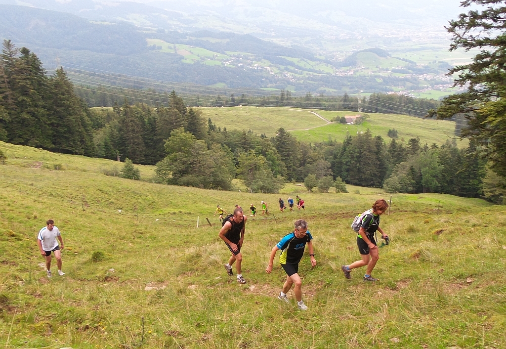 Steil hinauf, schon fast wie im alpinem Gelände