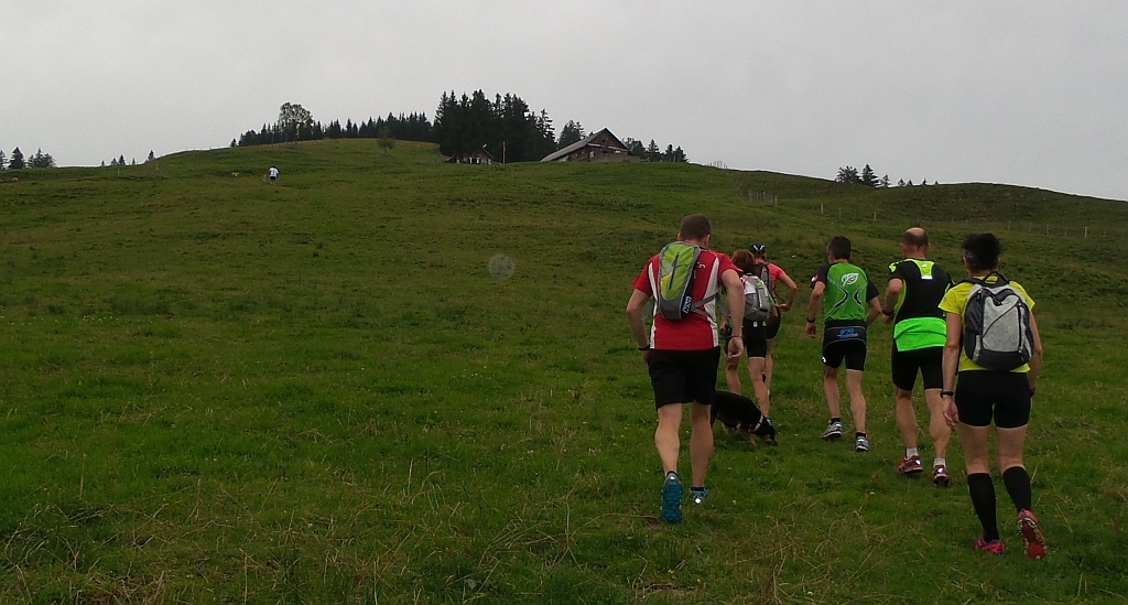 Der vorliegende Schwamm (Eichenwieser) ist noch nicht das Ende des Sommertrainings