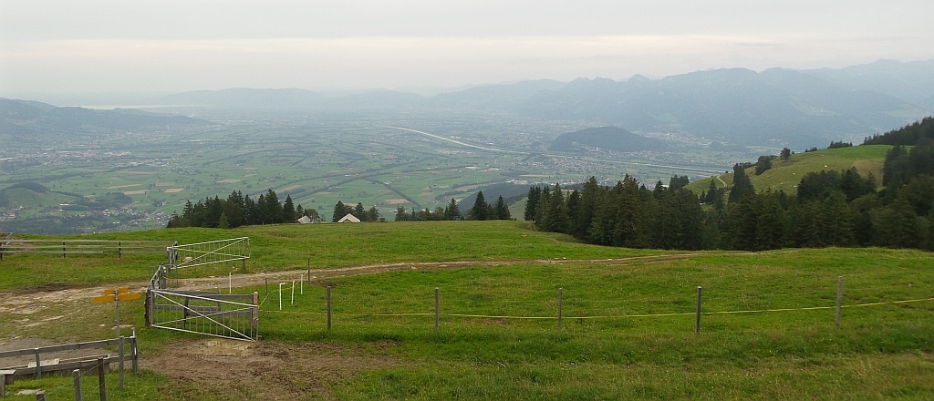Der Blick vom Diepoldsauer Schwamm hinunter ins Rheintal