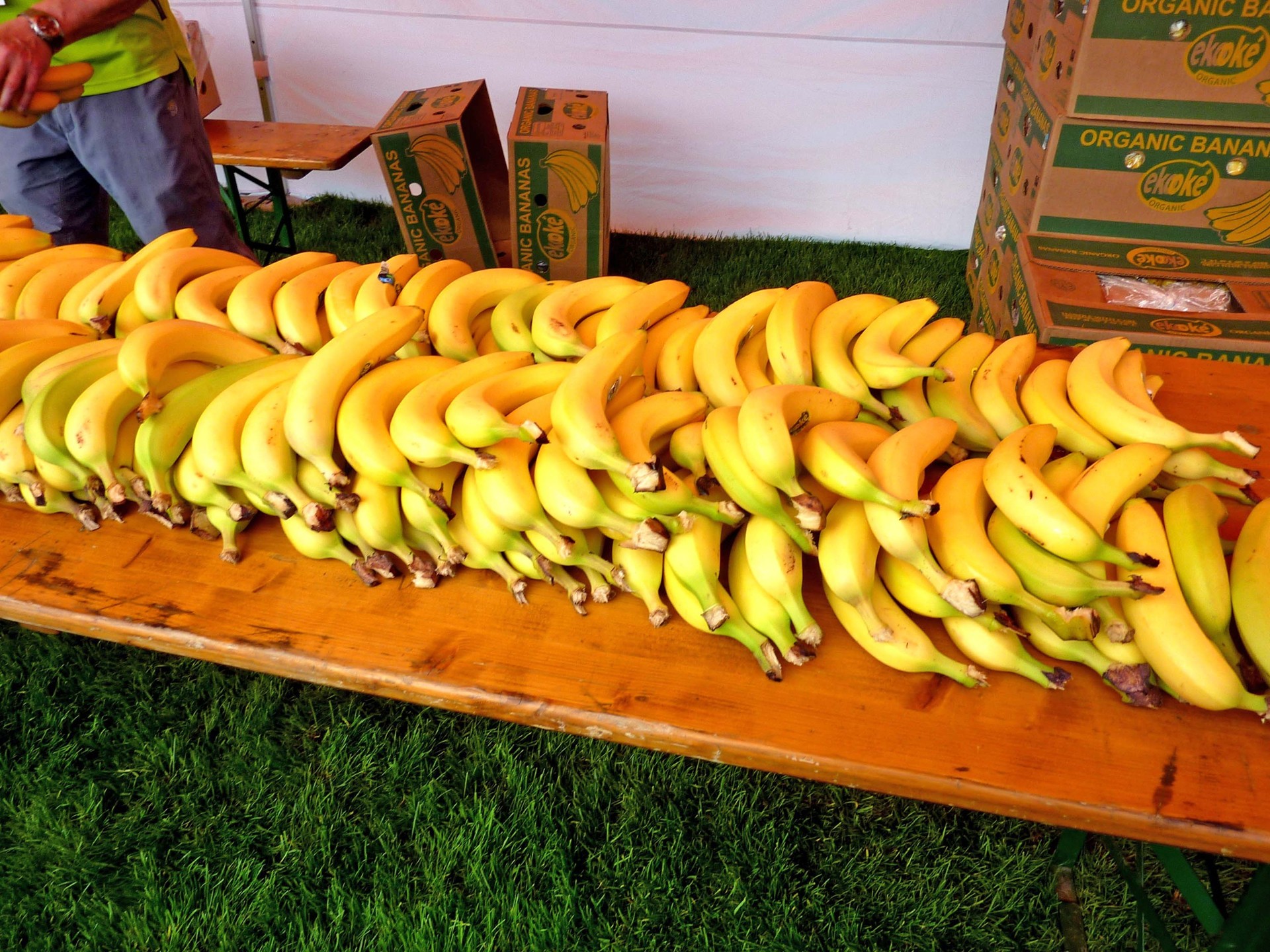 Bananen für die einten