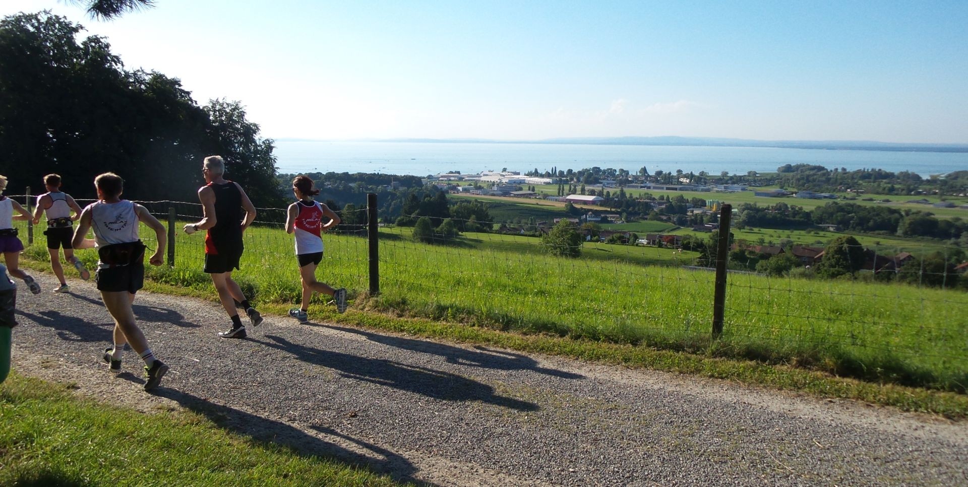 Herrlicher Blick auf den Bodensee