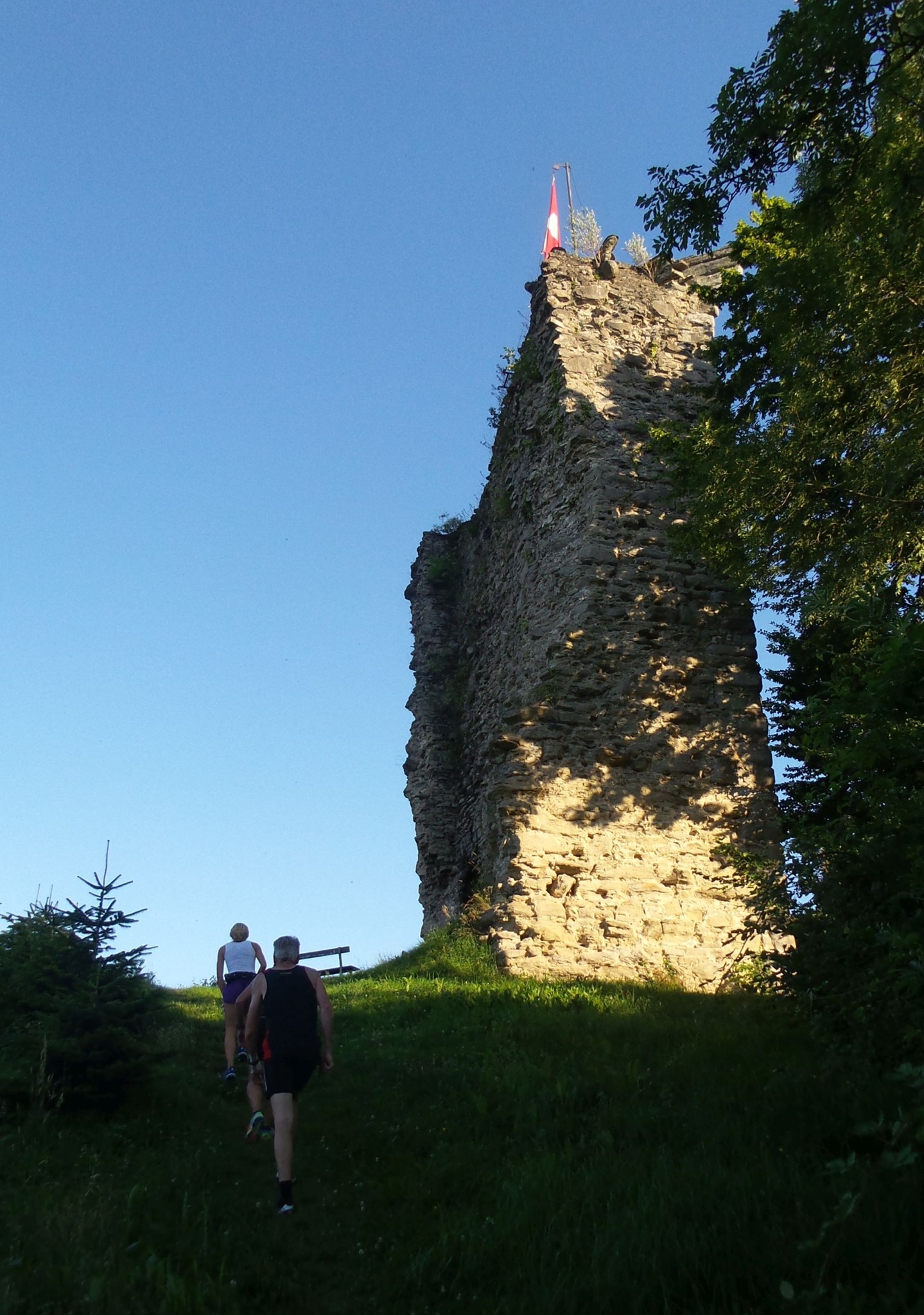 Burgruine südwestlich Rheinecks