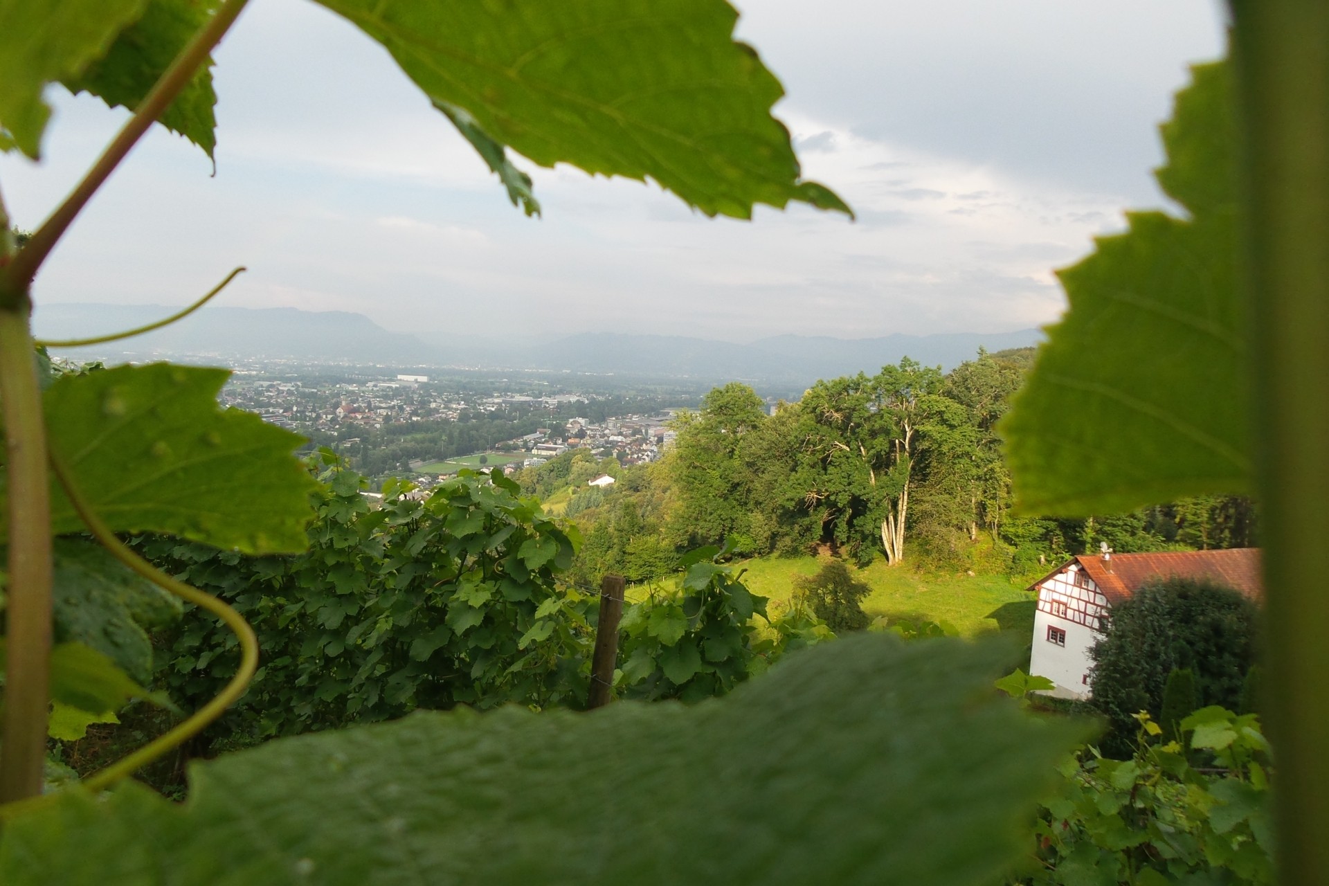 oberhalb St. Margrethen