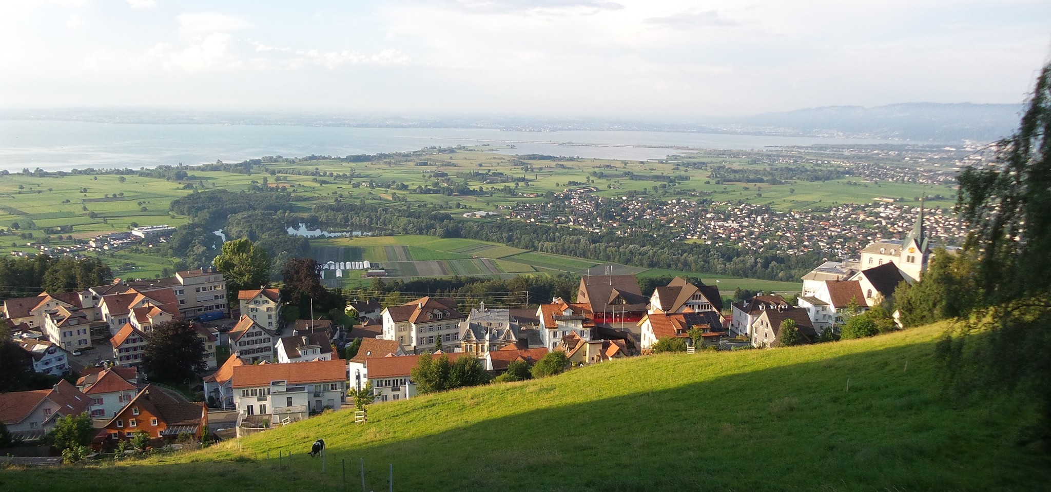 Blick vom «Balkon» Walzenhausen hinunter zum Eselsschwanz und Höchst