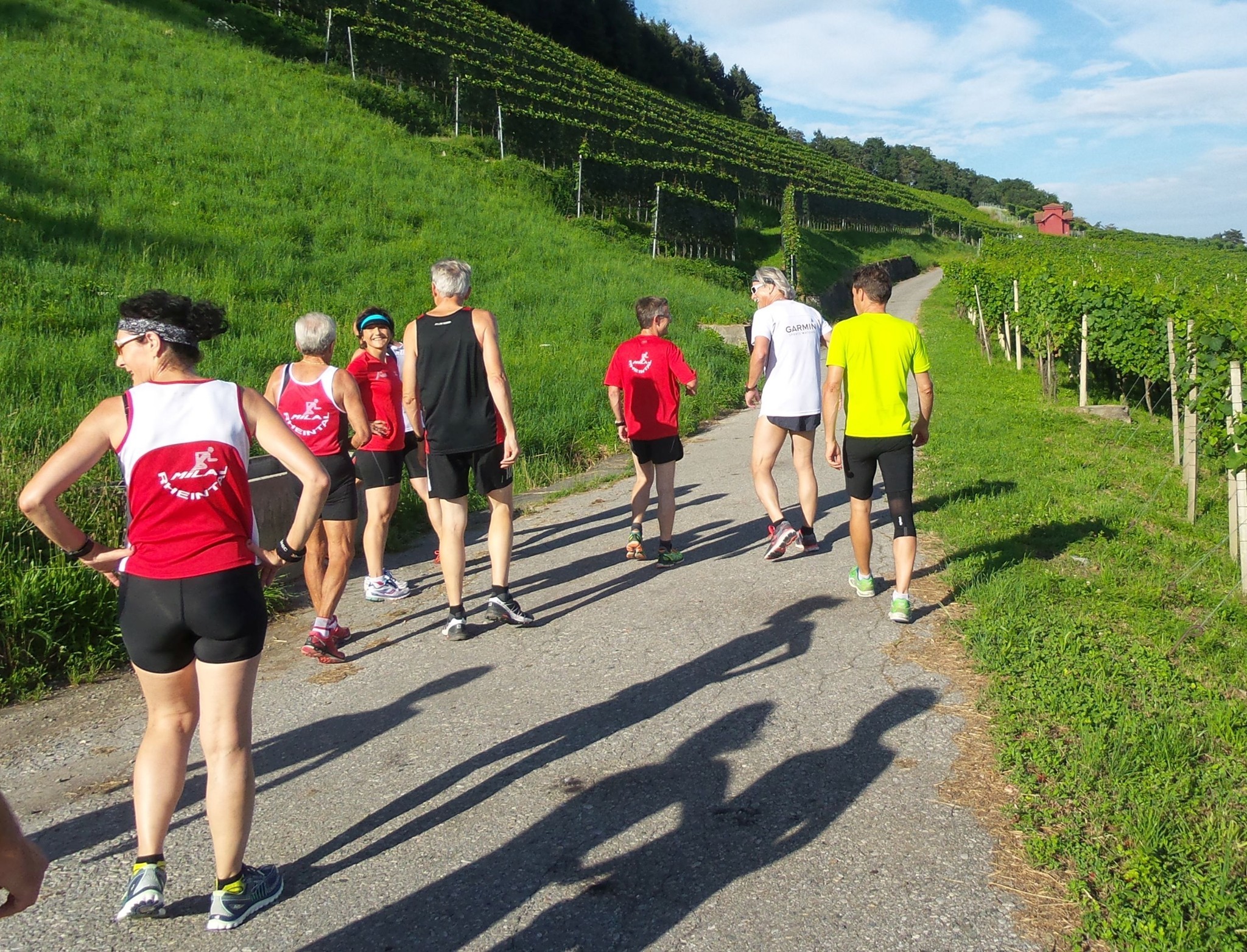 Hinauf in die Reben …..