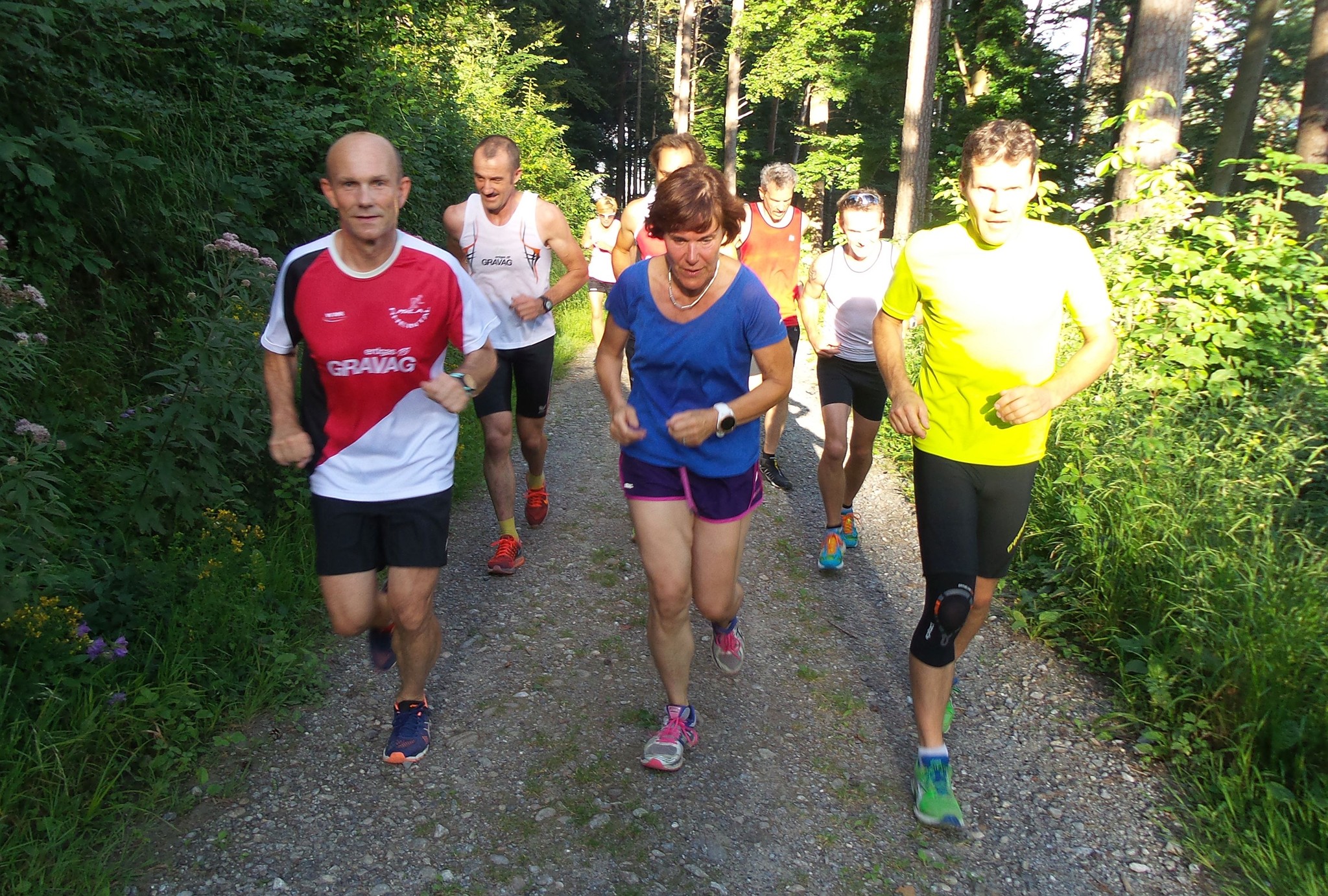 … und in den Balgacher Wald