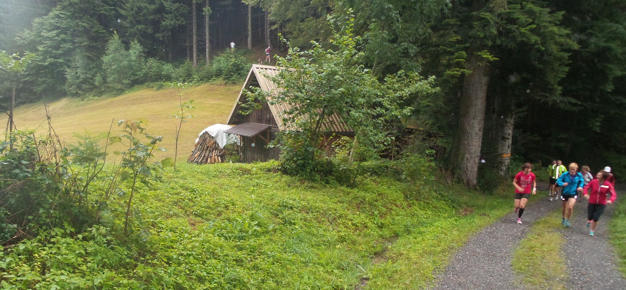 Vorbei am Goldwiesli