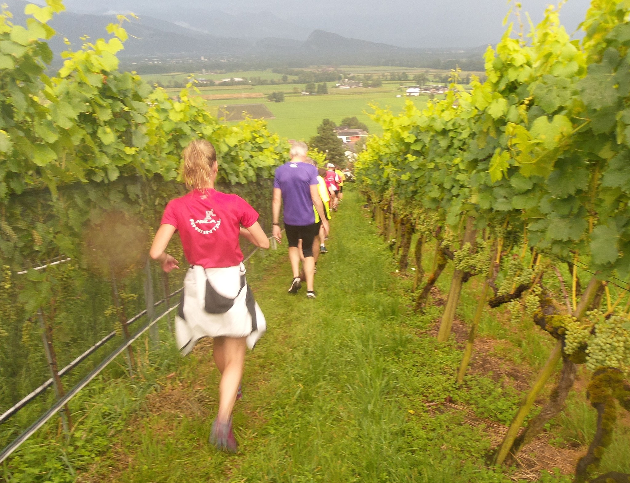 Auf den letzten Metern durch die Reben