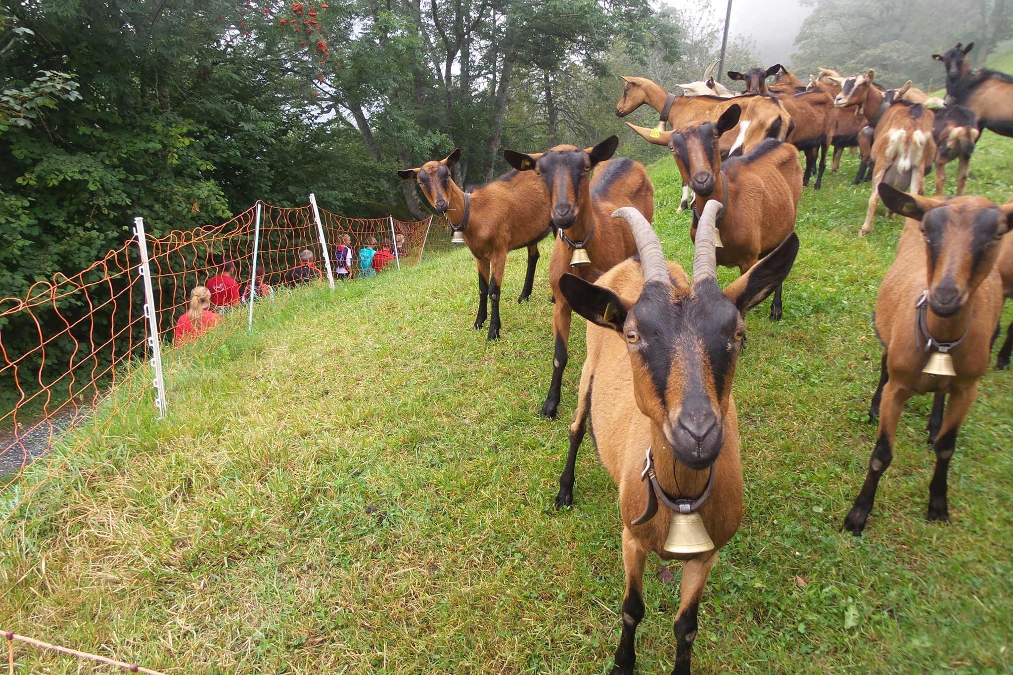 Die Zuschauer an diesem Laufspektakel