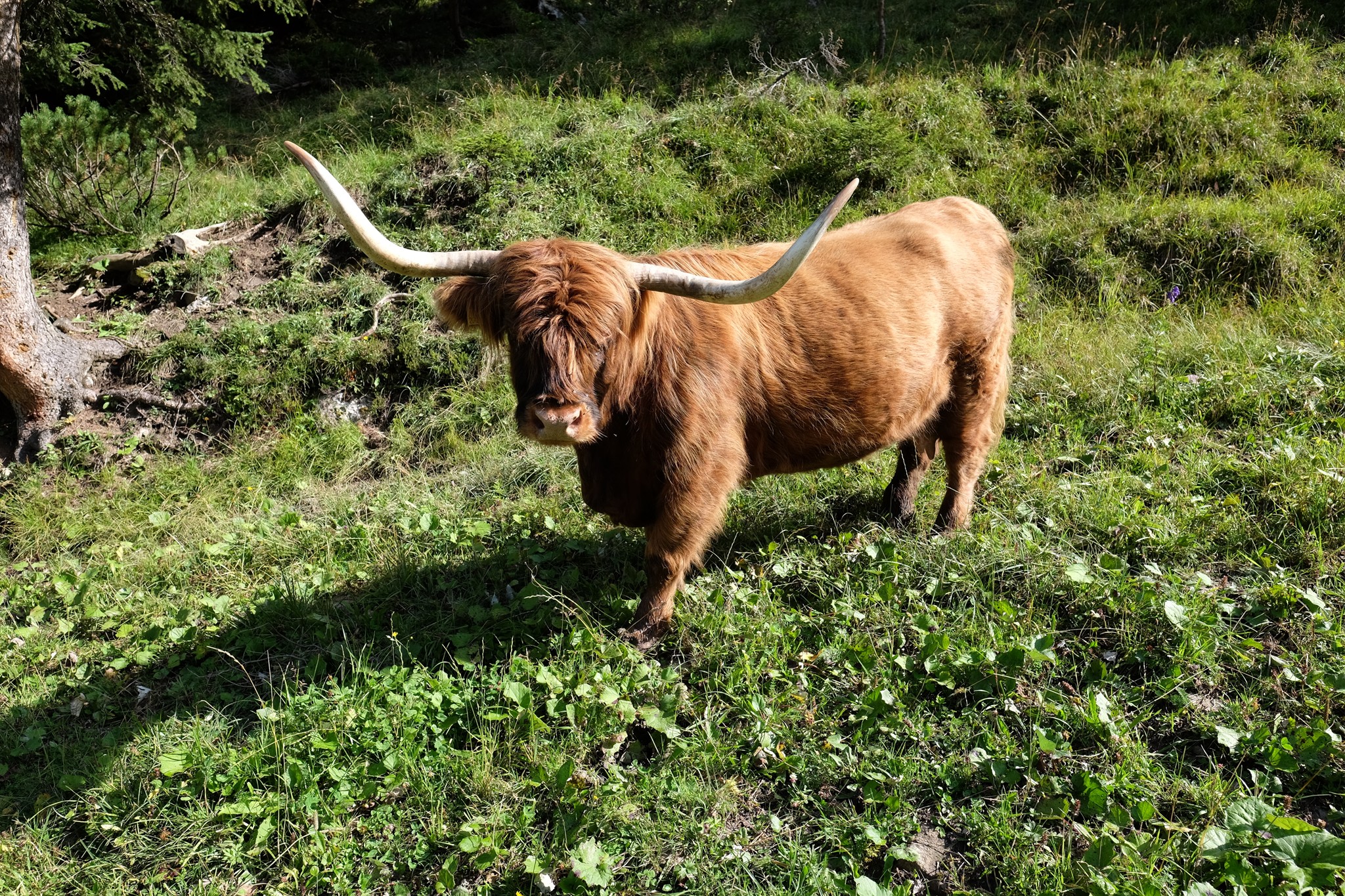 0_NEWS525_1503161046_DSCF5786