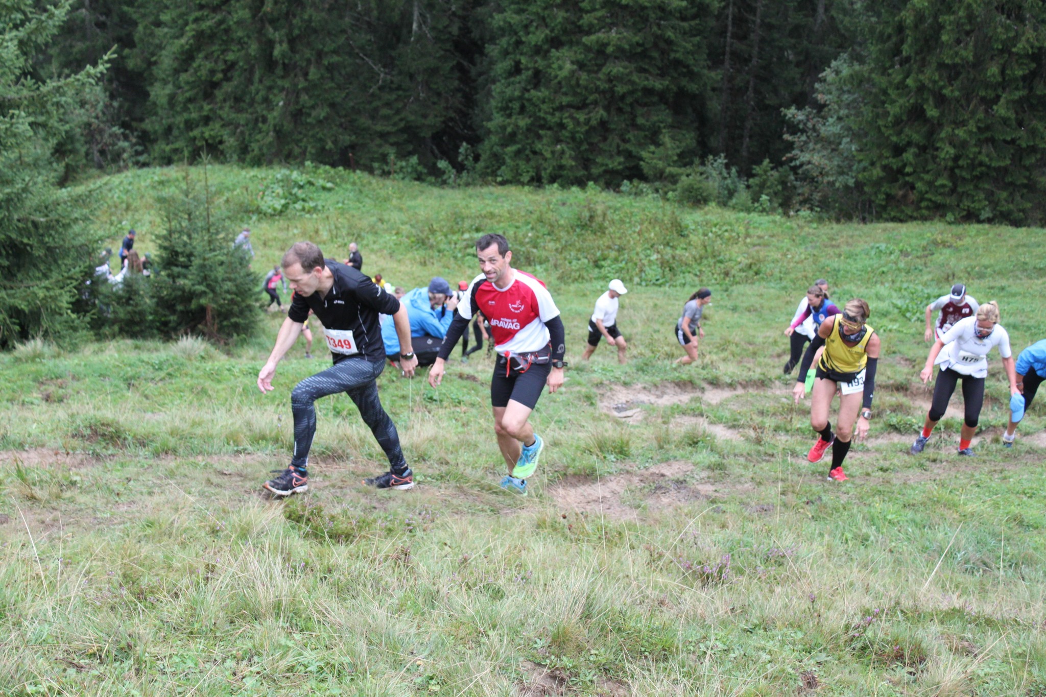 0_NEWS525_1503161243_IMG_9306