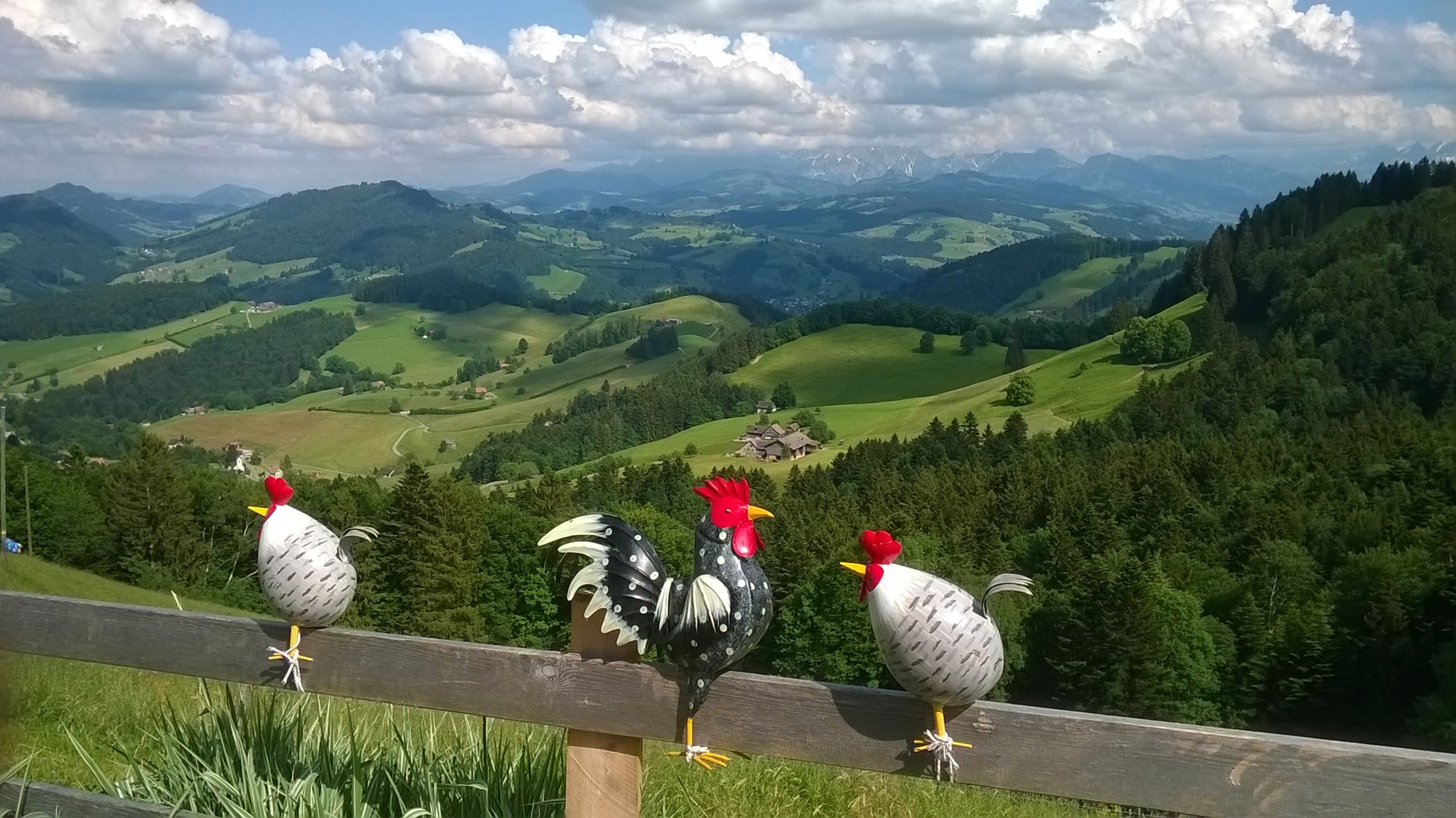 Zuschauer auf dem Älpli