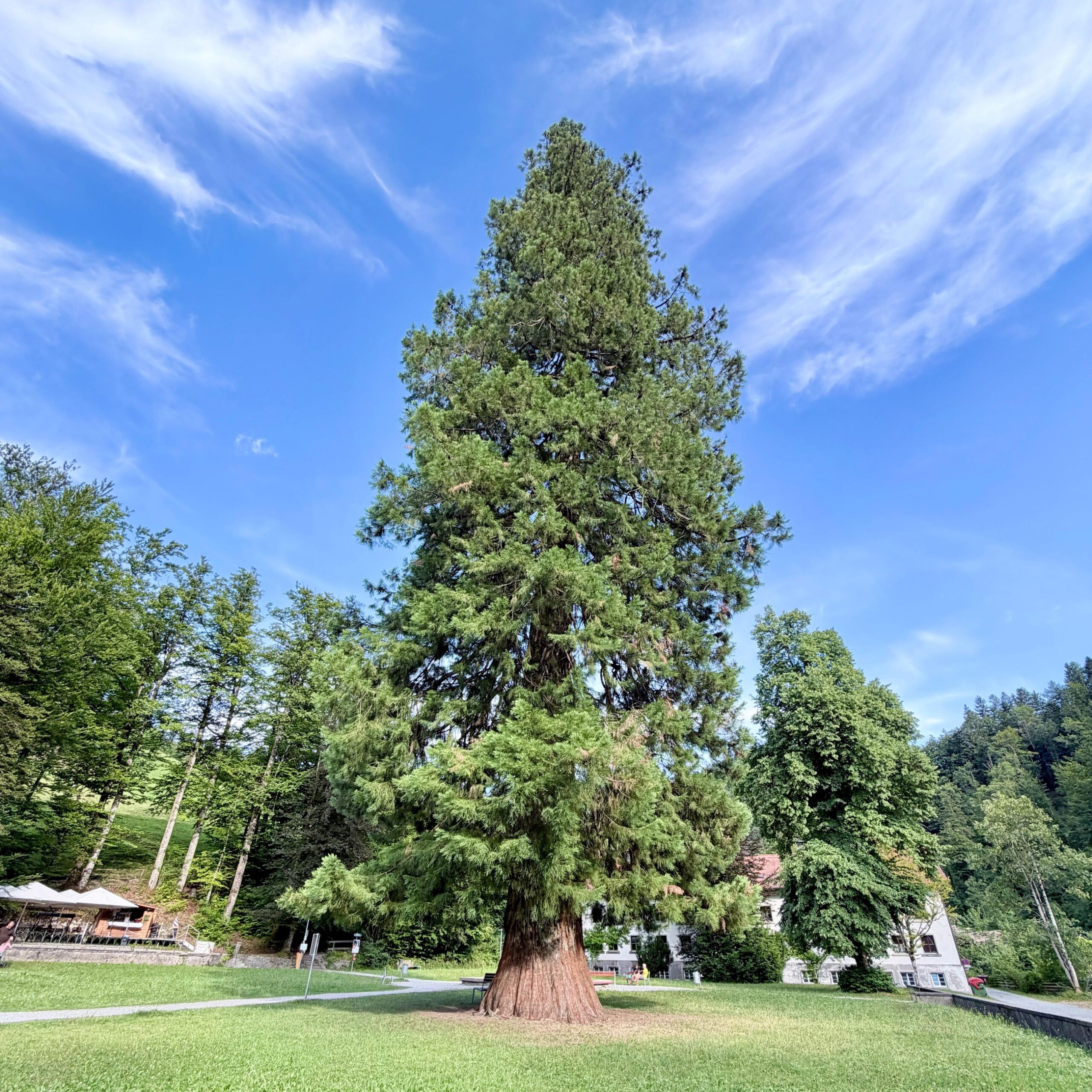 Dornbirn-01