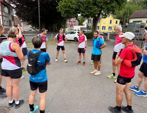 MILA Sommerprogramm 2026